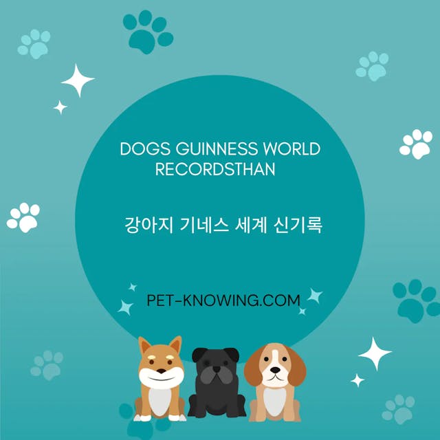 Dogs Guinness World Records